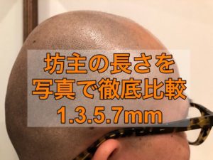 坊主の長さを写真で解説1,3,5,7㎜